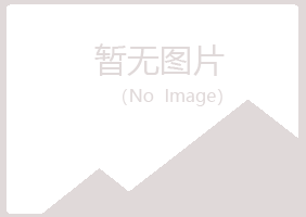 新县忆山能源有限公司